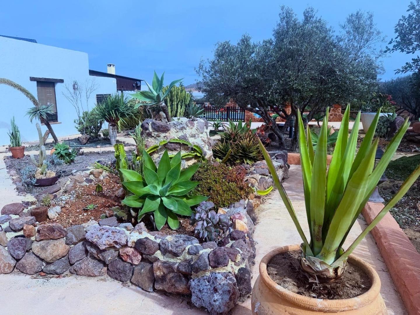 Los Albaricoques Olivares Rural מראה חיצוני תמונה
