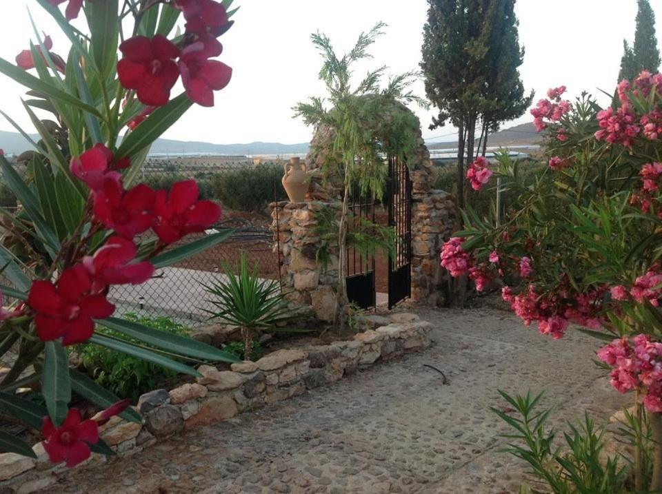 Los Albaricoques Olivares Rural מראה חיצוני תמונה