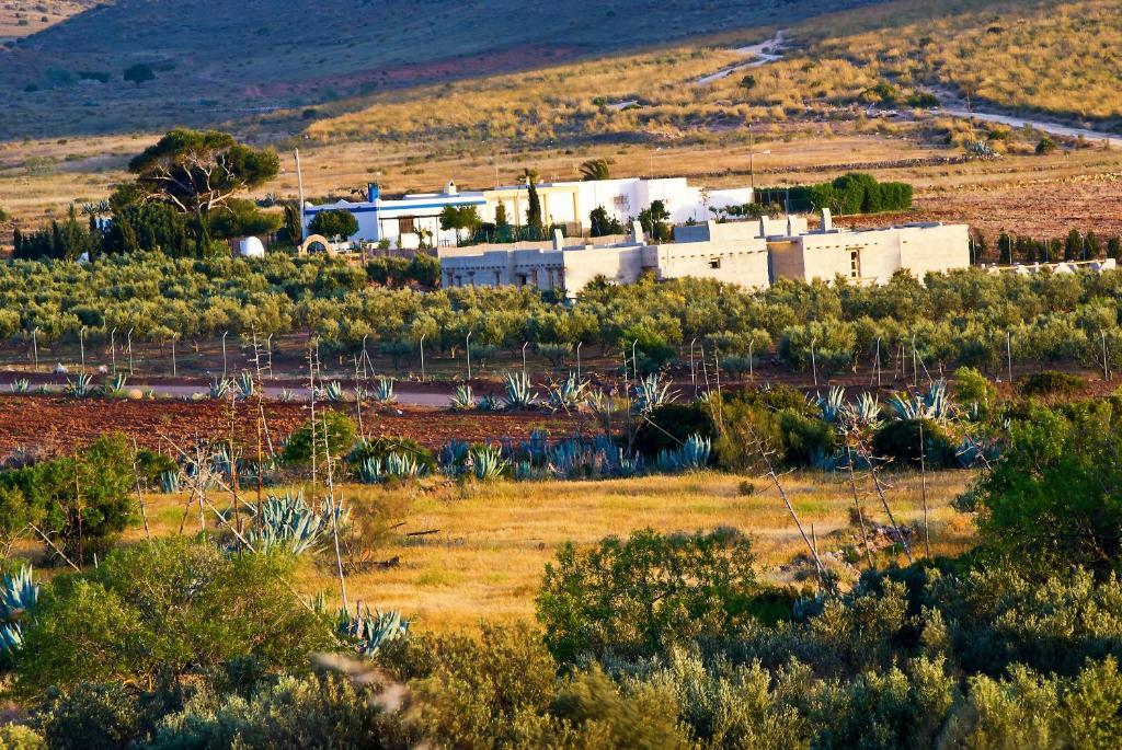Los Albaricoques Olivares Rural מראה חיצוני תמונה